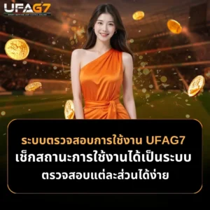 ระบบตรวจสอบการใช้งาน